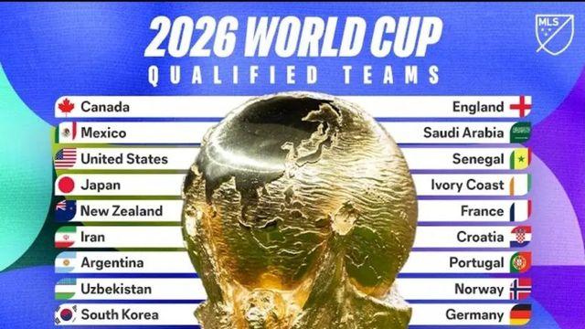 현재까지 월드컵 진출 확정팀