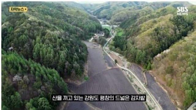 안 최근 강원도 감자밭 매입하는 외국 회사들