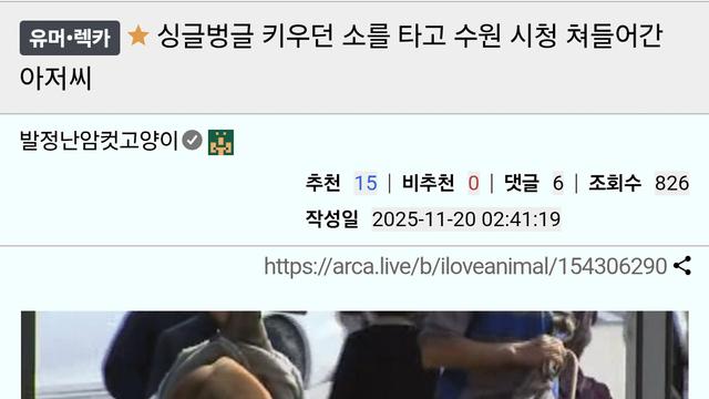 키우던 소를 타고 수원 시청 쳐들어간 아저씨