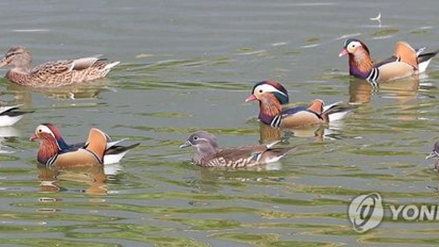 제주, 가끔 구름 많고 오전 빗방울
