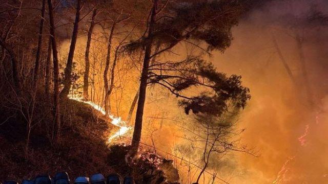 강원 인제 산불에 긴급 지시…金총리·행안장관 