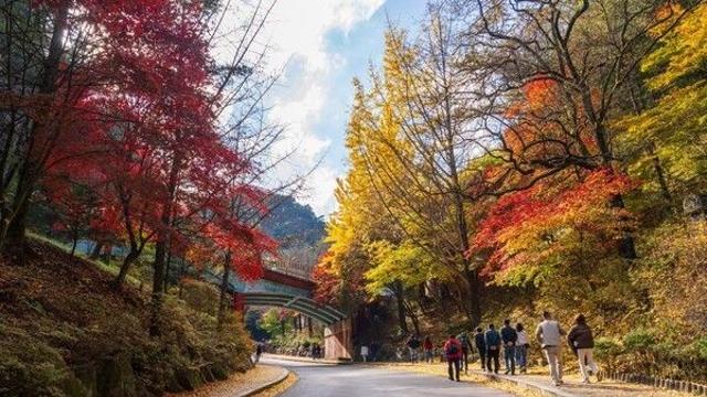 충북 단양  , 그곳에 아직 가을 낭만 머물러 있네요!