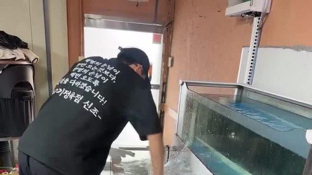 (소리)너무 신선한 대방어에 정신 못차리는 사장님.MP4