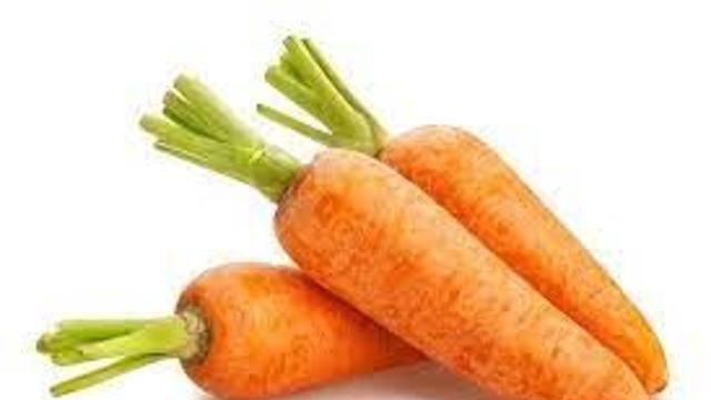 너무나 자유로운 당근.