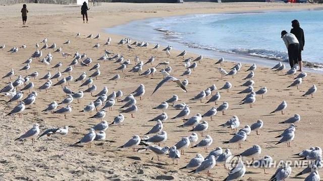 전북 가끔 구름 많고 일교차 커…낮 최고기온 10∼14도