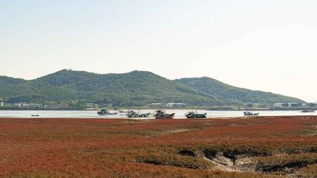 늦가을 가볼 만한 곳, 인천 강화도 붉게 물드는 노을과 오션 뷰 카페 그리고 고즈넉한 산사까지