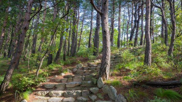 추워지니 생각나는 지난여름