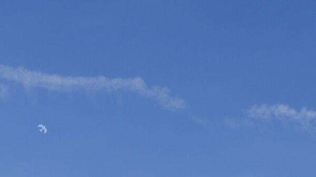 츄, 내년 1월 첫 정규발표…'러블리↔성숙, 감성 '츄'구미 올인원'