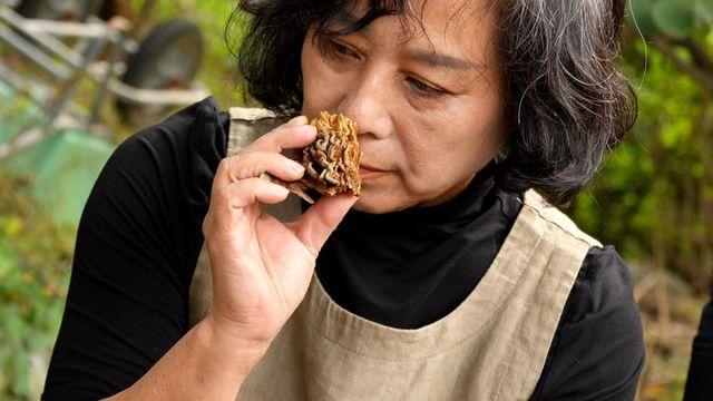 한국기행 오색빛 찬란한 가을입니다 4부 한 우물만 판다, 가을의 고수