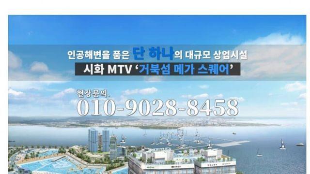 거북섬 분양받은 사람들 근황