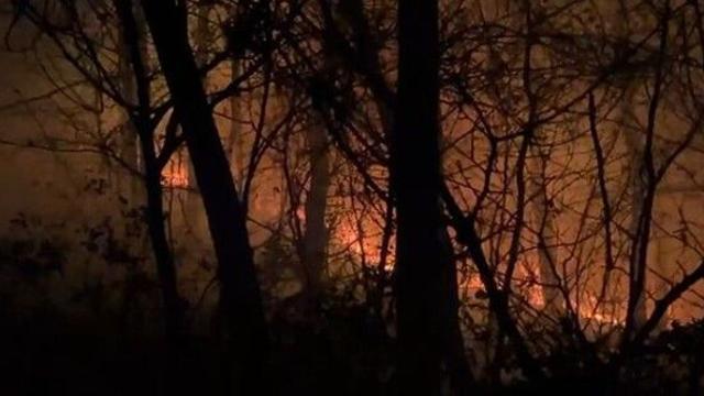 충남 태안군 소원면서 산불…2시간32분 만에 주불 진화