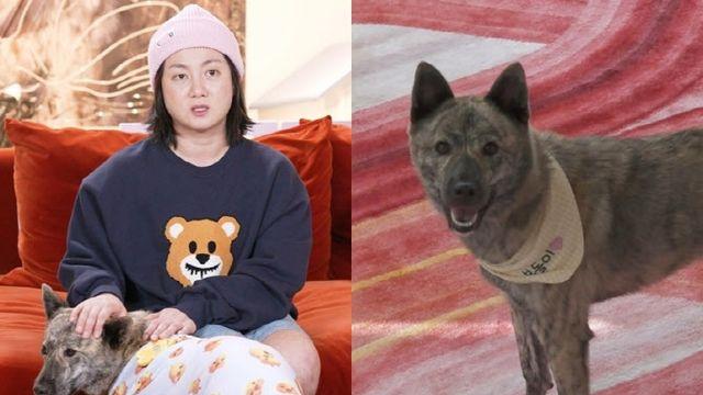 '나 혼자 산다' 박나래, 조부모 키우던 반려견 입양