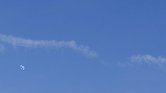 츄, 내년 1월 첫 솔로 정규앨범 컴백 [공식]