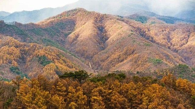 가을 끝자락 즐기는 방법! 강원도서 케이블카 타고 절경 만끽