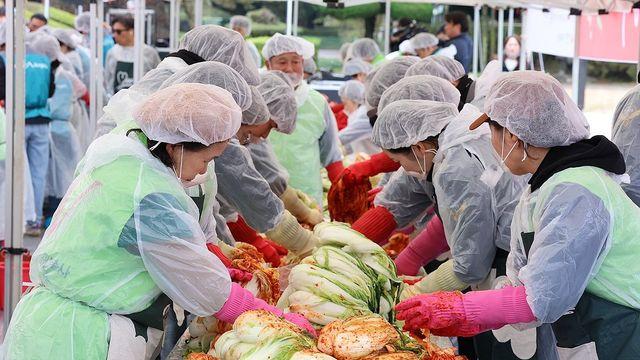 서풍 덕에 춥지 않지만…동해안과 강원·경북산지 매우 건조