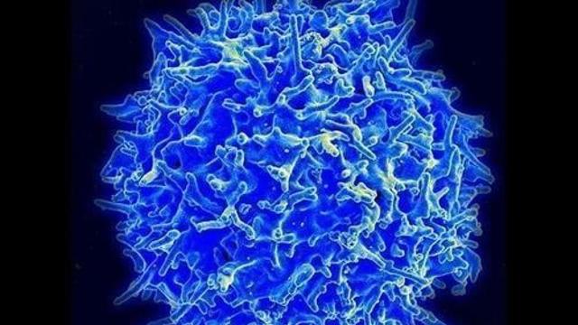 글로벌펀드, 한국에 감염병 퇴치 2억불 요청…