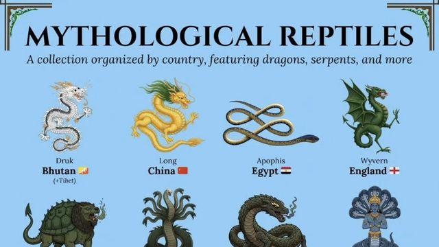 세계의 용 혹은 비슷한 것 모음