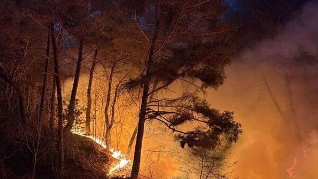 강원 인제 산불 확산 우려…행안 장관 