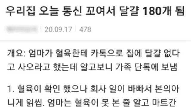 집안 통신 꼬여서 계란 180개됨