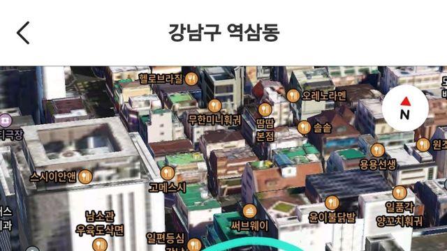 강남역 11번 출구 성형 타워