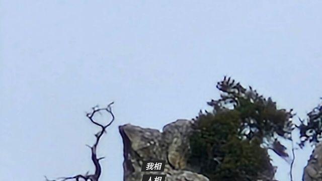 [보감과의 동행165]  방하착