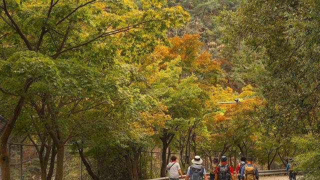 '서울대 안양수목원' 상시 개방 2주 만에 11만명 방문
