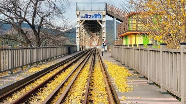 한겨울에 18도?… 추위 피해 몰려가는 김해 '이색 관광지' 정체