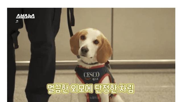 20분 일하면 30분 쉬는 신입사원