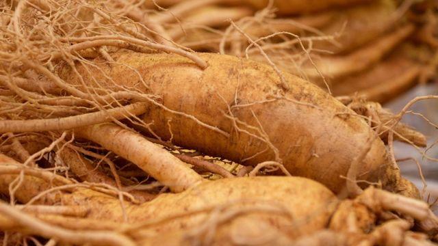 한국기행 오색빛 찬란한 가을입니다 5부 보약 같은 부부! 힘이여 솟아라!