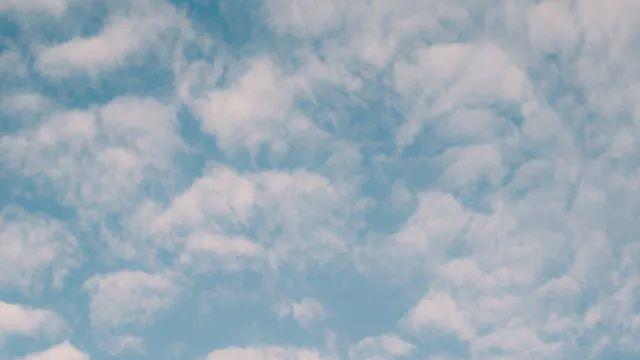 덜 흐린 가을과 공연