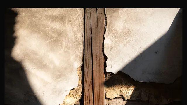 또 다닌 모습들 (20장)