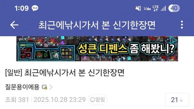 저수지에서 낚시하다 신기한거봤다는 글의 후속글