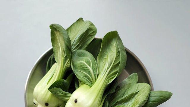 음식으로 동물을 표현하는 푸드스타일리스트