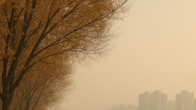 [오늘의 날씨] 내륙 중심으로 건조하고 강한 바람···오후엔 비교적 포근한 날씨