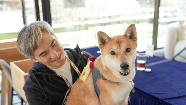 대전에서 반려견과 함께 스트레스 관리…‘힐링하개’ 프로그램 인기