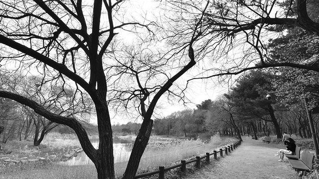 날씨, 강원·동해안 