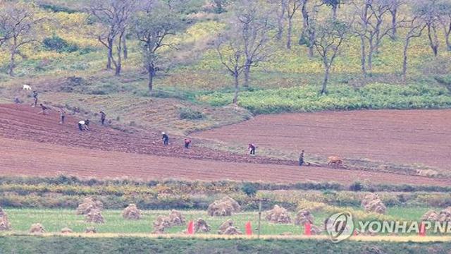 북한 농업실무대표단 러시아 방문…영농 분야 교류 확대