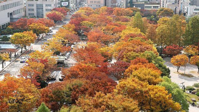 부산·울산·경남 대체로 맑고 한낮 포근…낮 최고 15∼17도