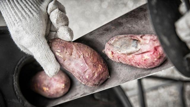 당뇨병 환자가 군고구마를 주의해야 하는 이유