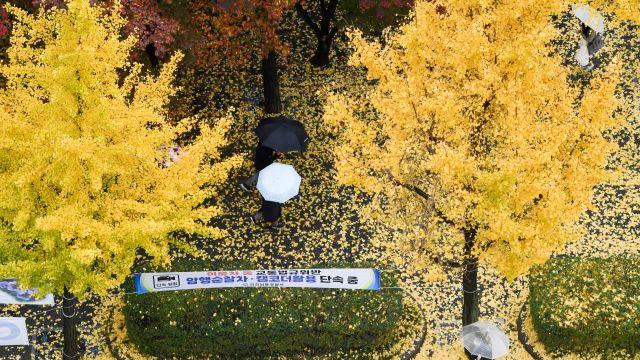 포근한 늦가을...수도권·강원에 작은 빗방울 [날씨]