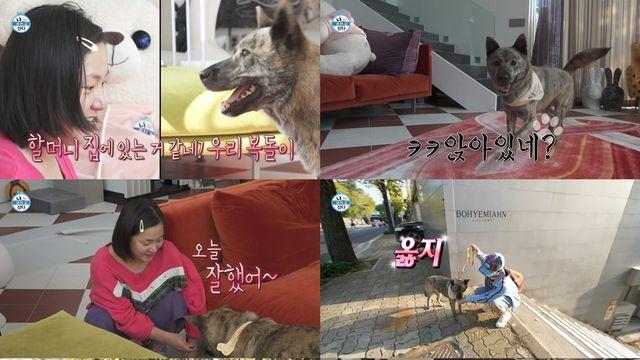 박나래, 반려견에 애틋한 진심 “할머니·할아버지한테 잘 사는 거 보여주자” (나혼산)