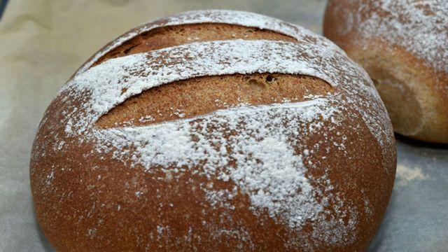 '슈가파우더 아니라고 합니다..' 호밀빵, 치아바타처럼 딱딱한 빵 표면에서 쉽게 볼 수 있는 '하얀 가루' 정체