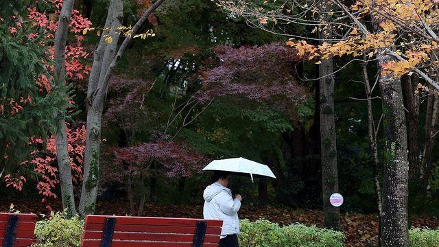 [내주날씨] 월요일 수도권 등에 비…평년 수준 기온 이어져