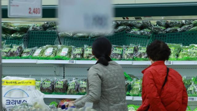 [장문기의 핀하이] 민생회복 소비쿠폰, 카드업계에 훈풍으로