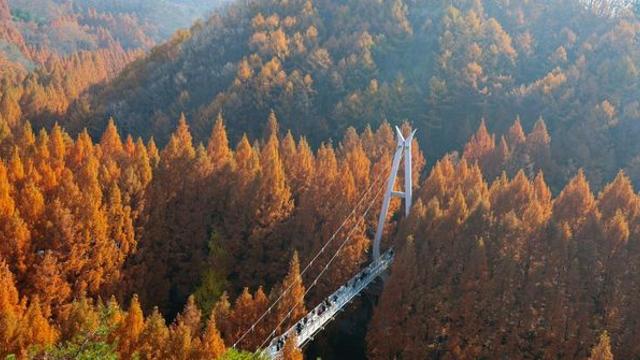 늦가을 정취 만끽할 수 있다… 대전에 위치한 뜻밖의 ‘단풍 명소’