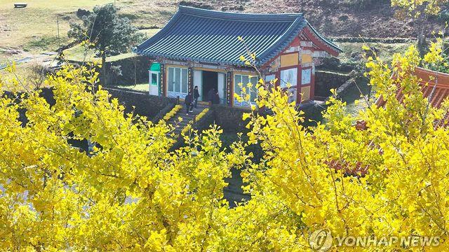 [내일날씨] '낮 최고 18도' 포근한 늦가을…동해안 불조심