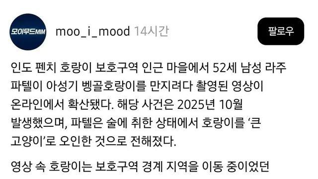 술마시고 ㄹㅇ 호랑이 쓰다듬은 남자 ㄷㄷㄷ;;,,