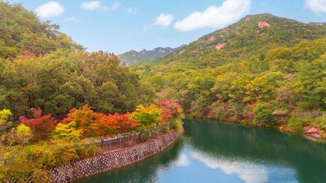 58년만 상시 개방… 단풍 물들자 2주 만에 11만명 방문객 몰린 ‘이곳’