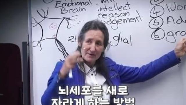 나이 상관없이 뇌세포를 새로 자라게하는 방법