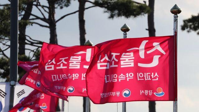 건조특보 속 양양서 산불 발생…산림 당국 진화 중